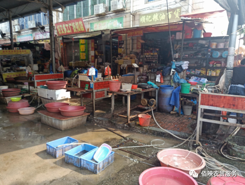 设计案例：新田中心农贸市场-2.jpg