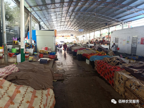 设计案例：新田中心农贸市场-3.jpg