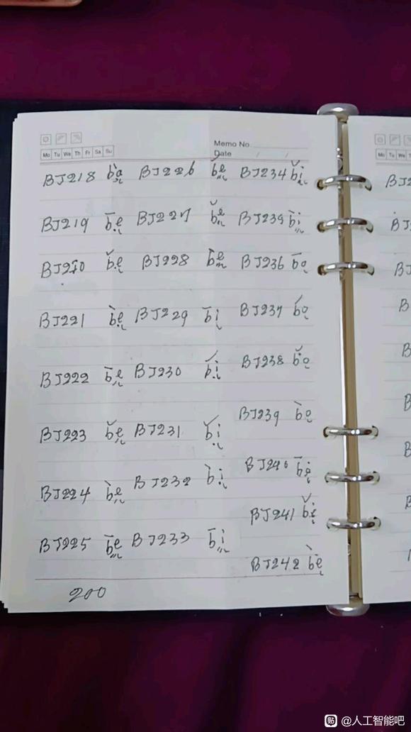 中文信息数字化9/19-6.jpg