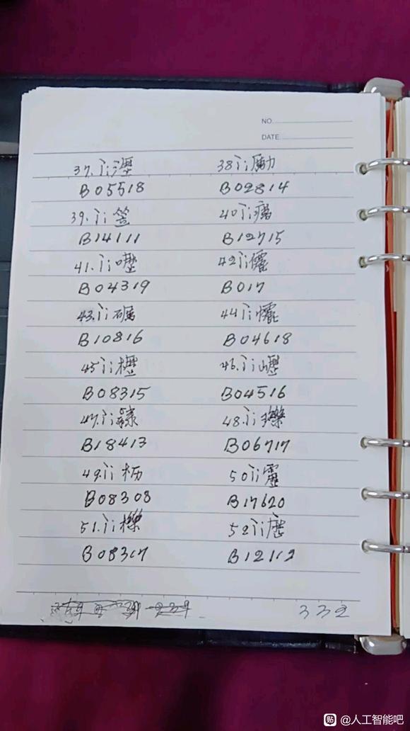 中文信息数字化16/19-2.jpg