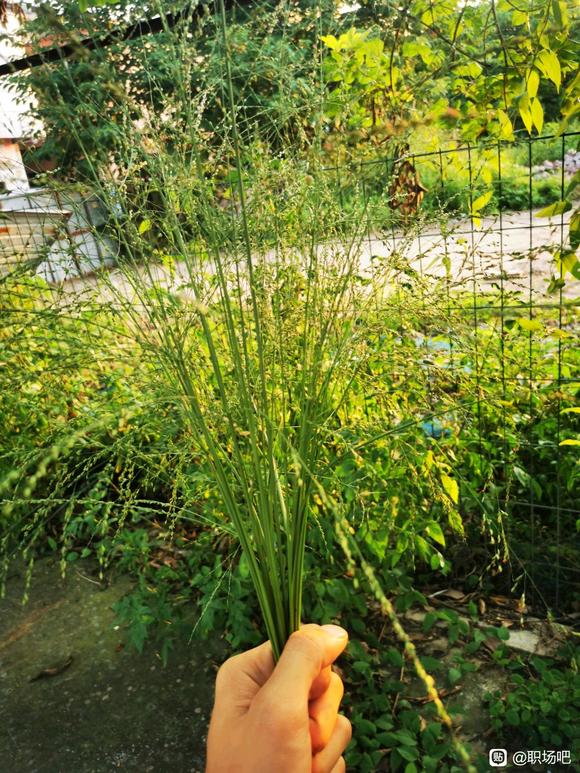 人生的幸福时刻有时候就是这么简单。-1.jpg