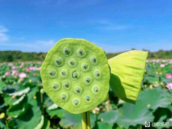 草原看人生境界-1.jpg